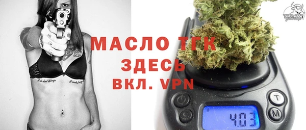 хмурый Магас