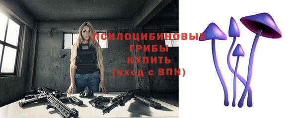 хмурый Магас