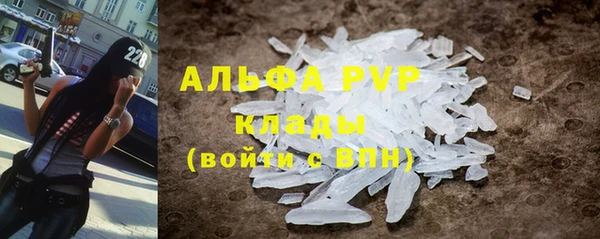 хмурый Магас
