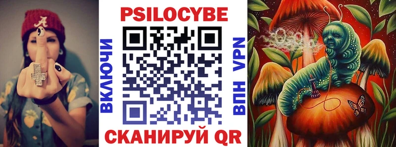 Псилоцибиновые грибы MAGIC MUSHROOMS  blacksprut рабочий сайт  Камешково  дарнет шоп 
